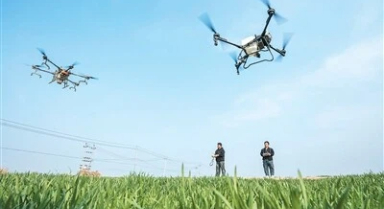 無人機(jī)施肥更高效