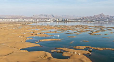 內(nèi)蒙古烏海：沙水相依鷗翔集